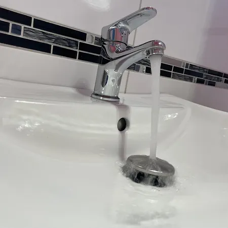 Fairy Dragon - Tuendersarkany * Boedapest