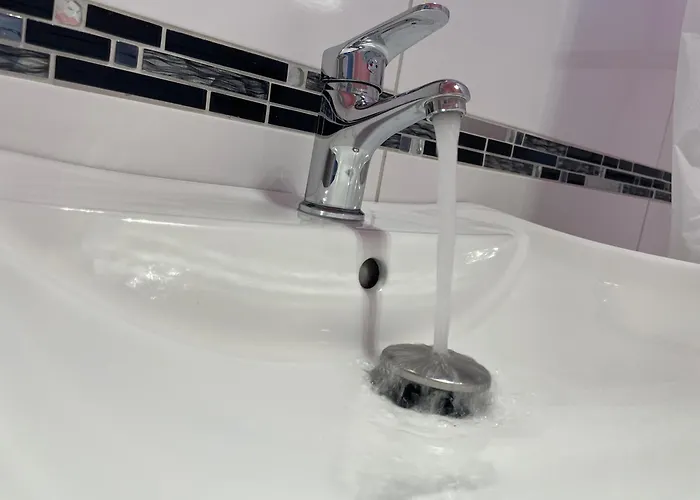 Fairy Dragon - Tuendersarkany * Boedapest